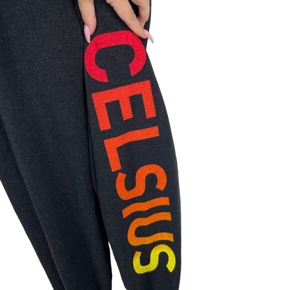 Aviator Nation Logo Celsius High Rise Jogger Sweatpants Charcoal Size S - Picture 3 of 9